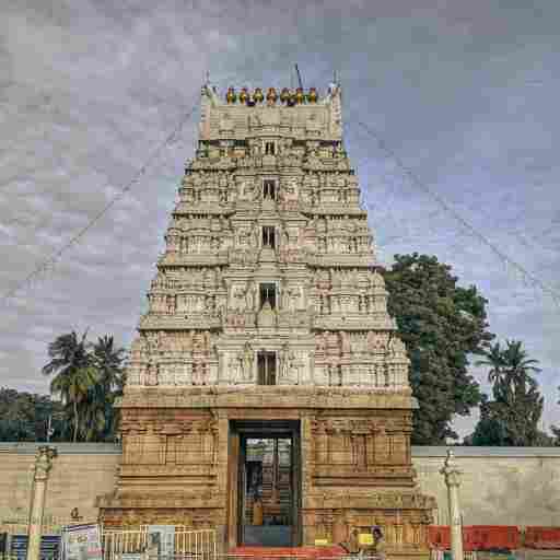 Srinivasa Mangapuram Temple Image