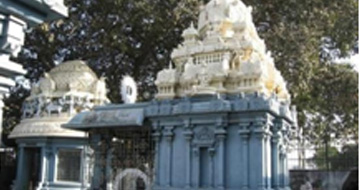 padmavathi temple tour packages