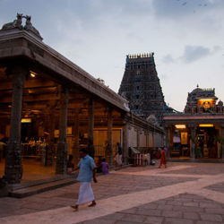 chennai local sightseeings tour packages