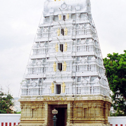 Tirupati Tirumala Darshan Package from chennai
