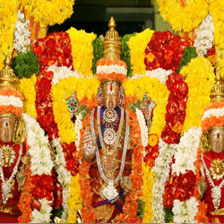 one day tour package from chennai to tirupati