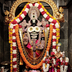 One day Tirumala Darshan Packages by car