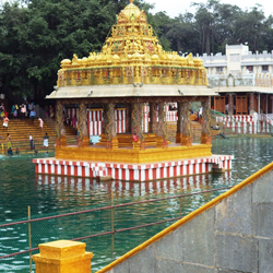 Best Tirupati packages from chennai