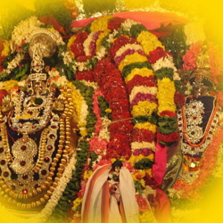 Tiruvannamalai Trip From Chennai