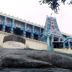vellore tour Packages
