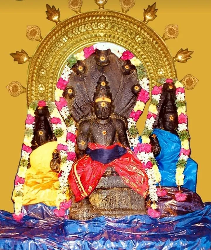 Explore Navagraha temples with expert guides