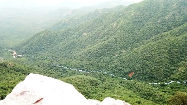 Sri Vari Mettu Foot Path