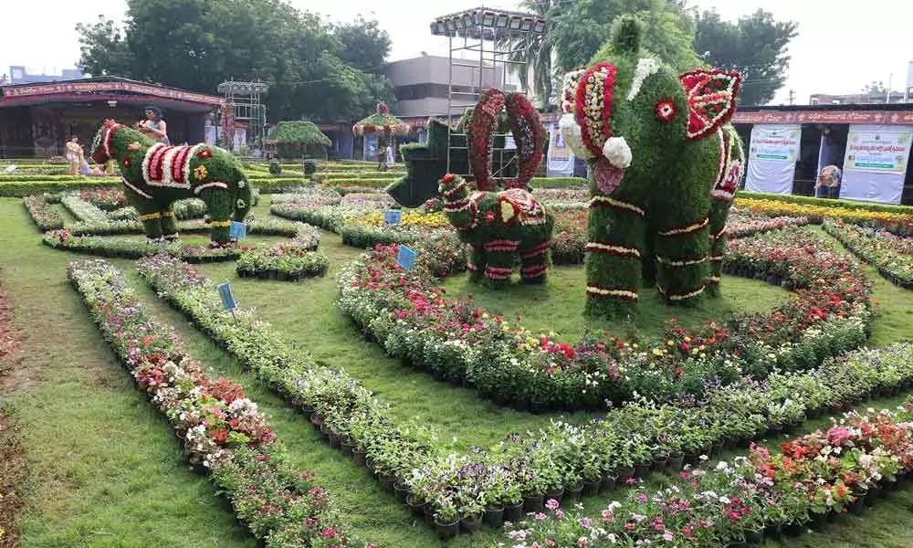 Tirupati Flower Garden