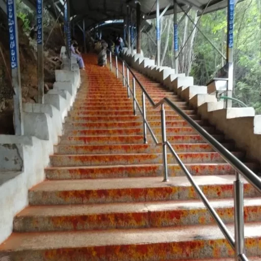 Srivari Mettu Steps